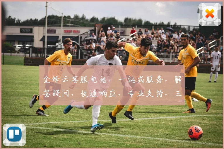 企蜂云客服电话，一站式服务，解答疑问，快速响应，专业支持，三步轻松解决