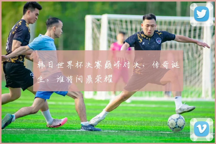 韩日世界杯决赛巅峰对决，传奇诞生，谁将问鼎荣耀